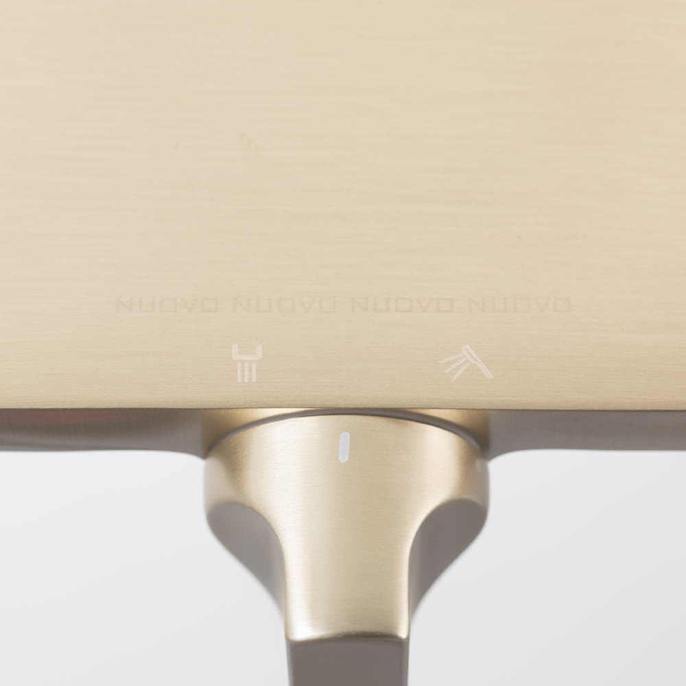 비반트 샴페인 골드 RA600 샤워기